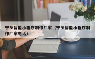 沁阳宁乡智能小程序制作厂家（宁乡智能小程序制作厂家电话）